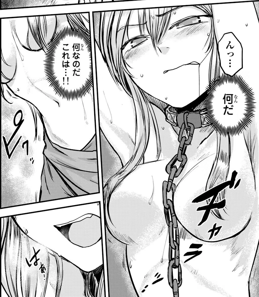 姫騎士は蛮族の嫁 第1巻 コトバノリアキ 一般漫画 エロ 拘束 敗北 くっ殺 女騎士 貴族